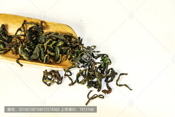 去火蒲公英干茶茶汤茶素材