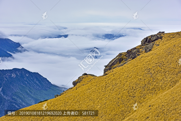 武功山高山草甸