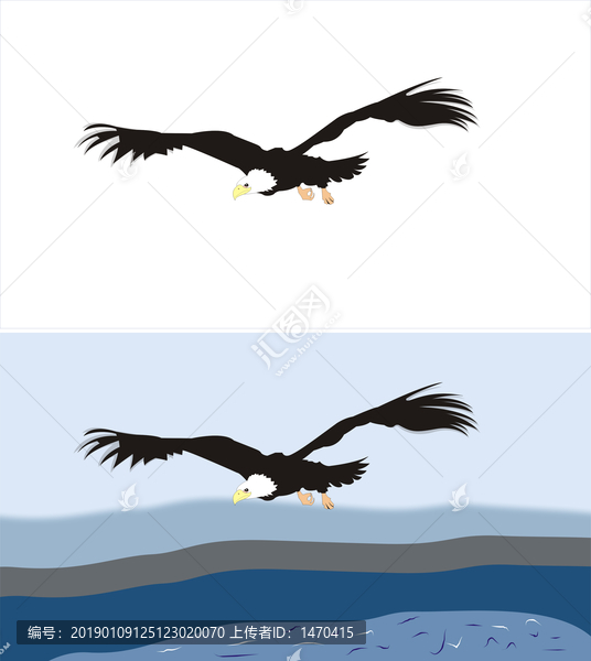 鷹