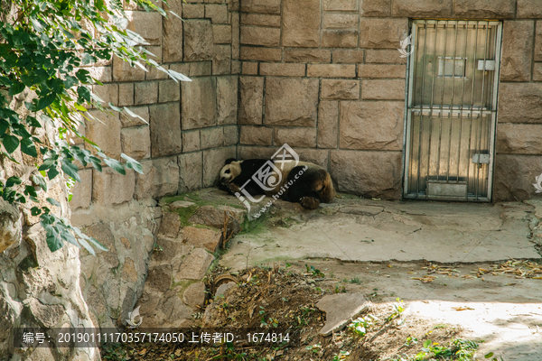 北京動物園