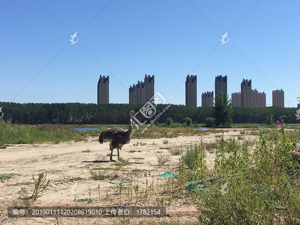 蓝天白云风景