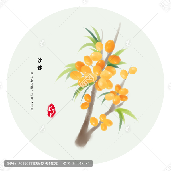 手繪沙棘