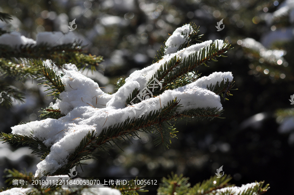 雪挂