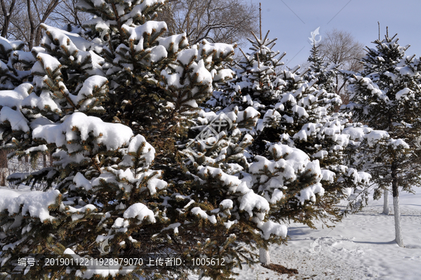 雪挂