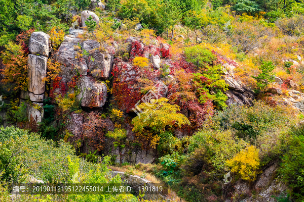 崂山秋色