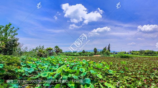 昆明海东湿地