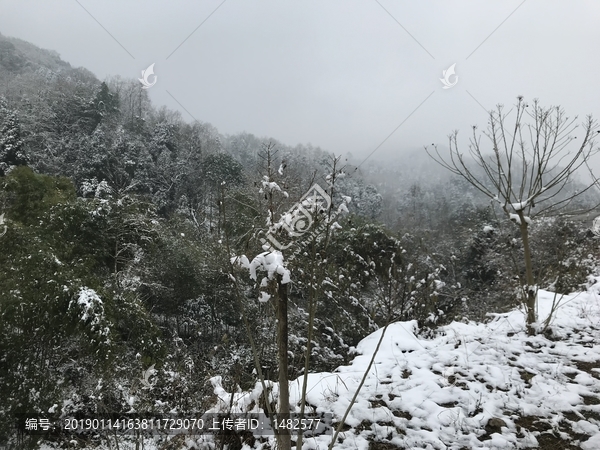 四川彭州通济雪景