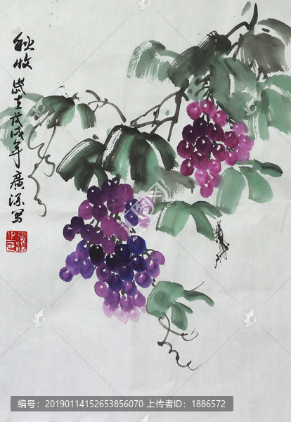 葡萄