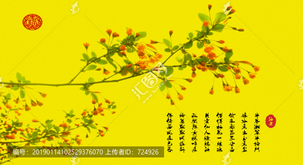 海棠花