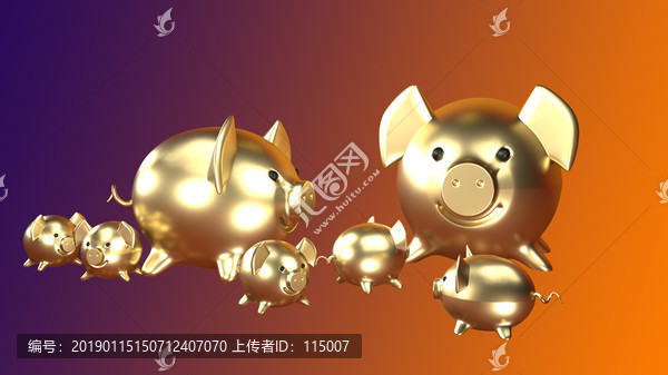 金豬