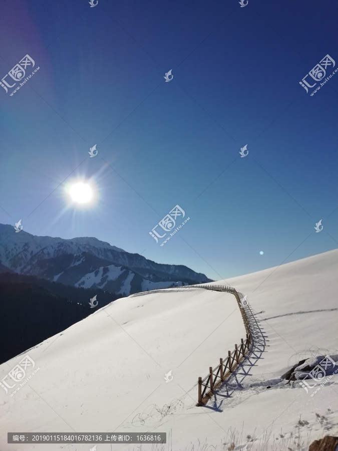 雪地艳阳