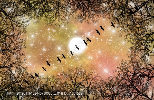 高清樹影星空吊頂軟膜裝飾畫
