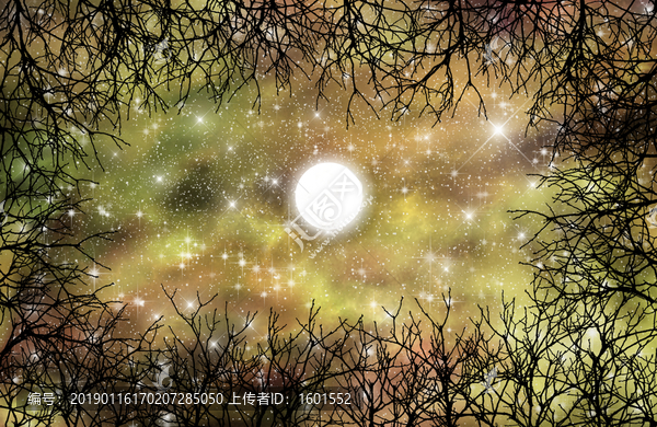 高清樹影星空吊頂軟膜墻紙裝飾畫