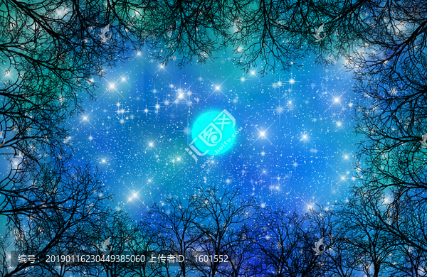 高清樹(shù)影星空畫(huà)