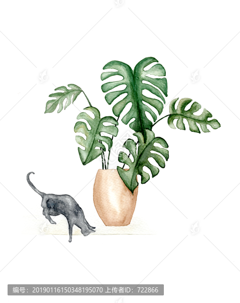 植物與貓