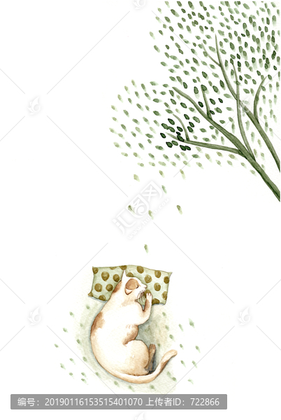 午睡中的小貓