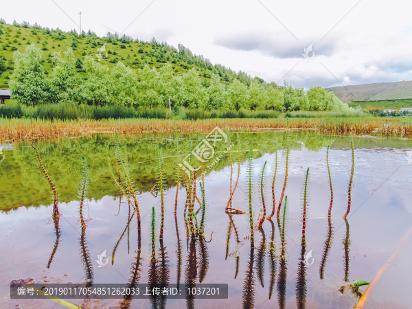 云南风景