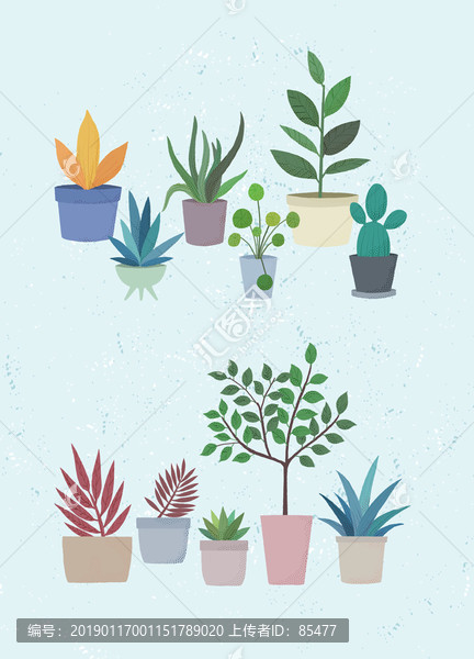 手繪多款植物盆栽