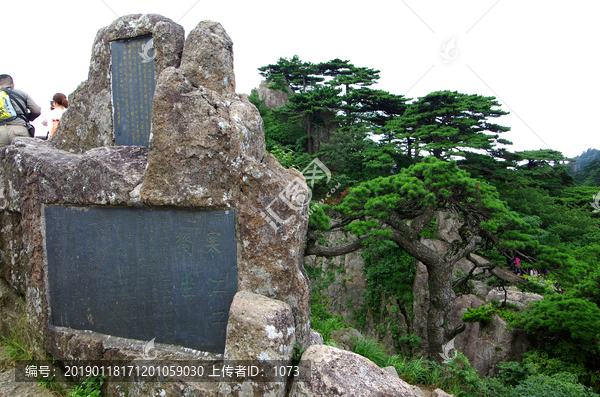 黄山接引松石刻