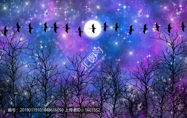 高清唯美星空裝飾畫