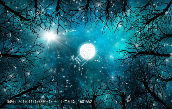高清唯美樹影星空吊頂軟膜壁紙畫