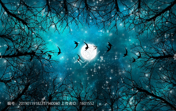高清唯美星空吊頂軟膜裝飾畫(huà)