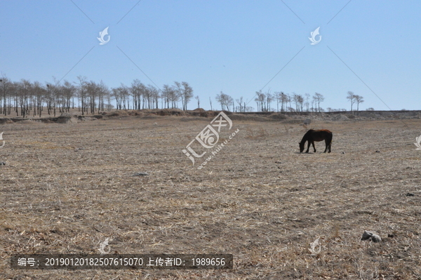 大漠荒野