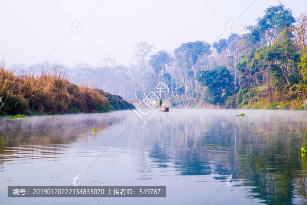 丛林河流