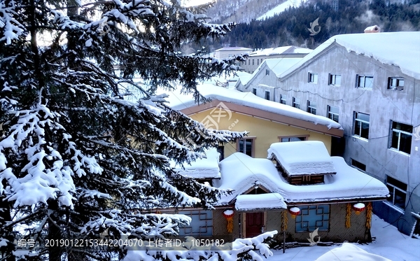 东北雪乡美景