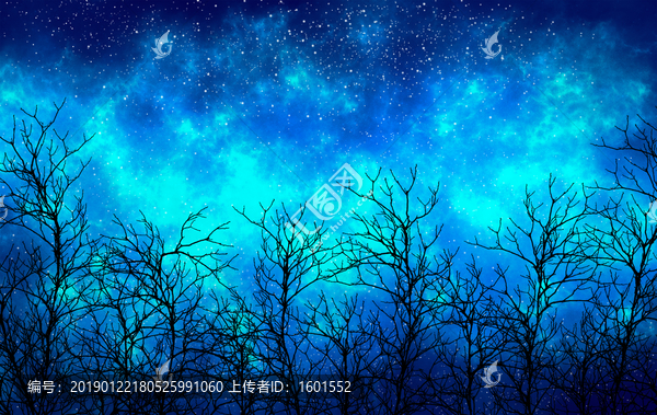 高清星空裝飾畫(huà)