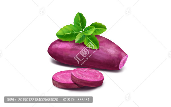 手繪紫薯插畫