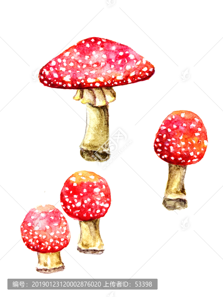 水彩蘑菇