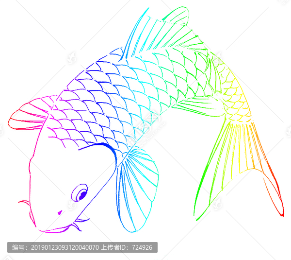 七彩鯉魚