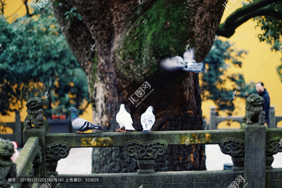 灵隐禅寺