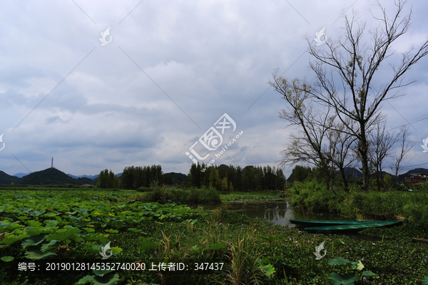 云南普者黑湿地