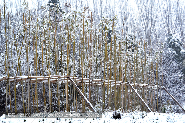 冬天的雪景