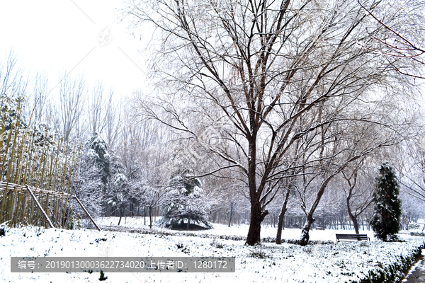 冬天的雪景