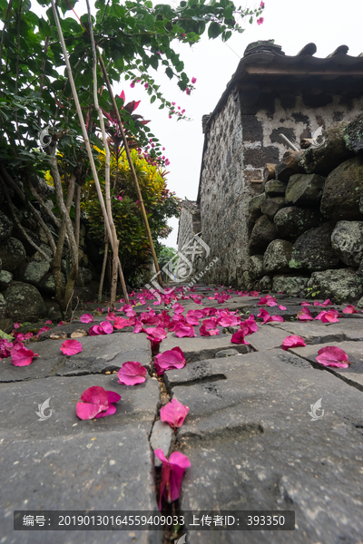 落花满地