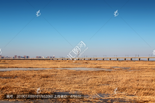 高架桥湿地