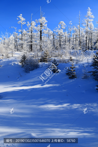 林海雪原雾凇