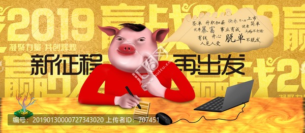 2019豬年