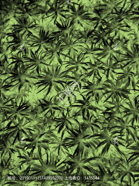 綠色背景