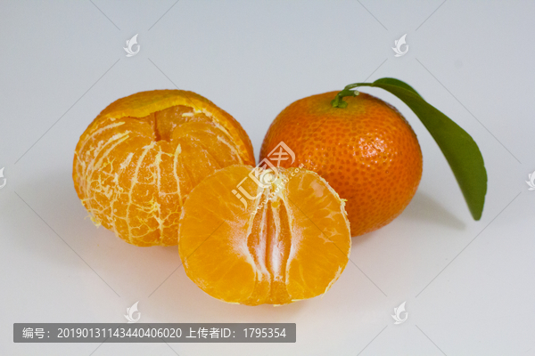 砂糖橘摄影