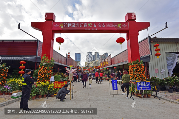 深圳迎春花市