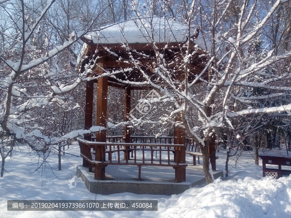 雪景