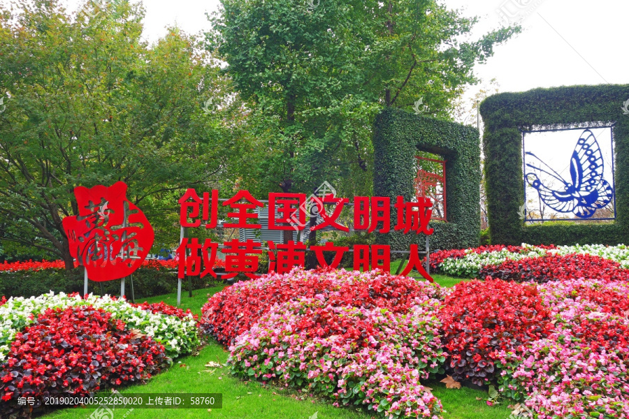 上海黄浦区园艺绿植
