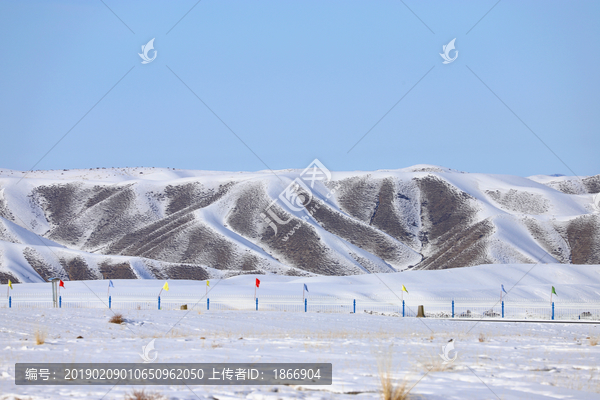 雪原