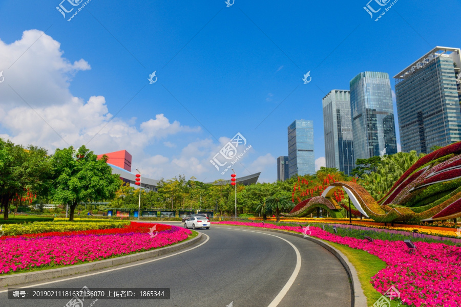 深圳市民中心的花海