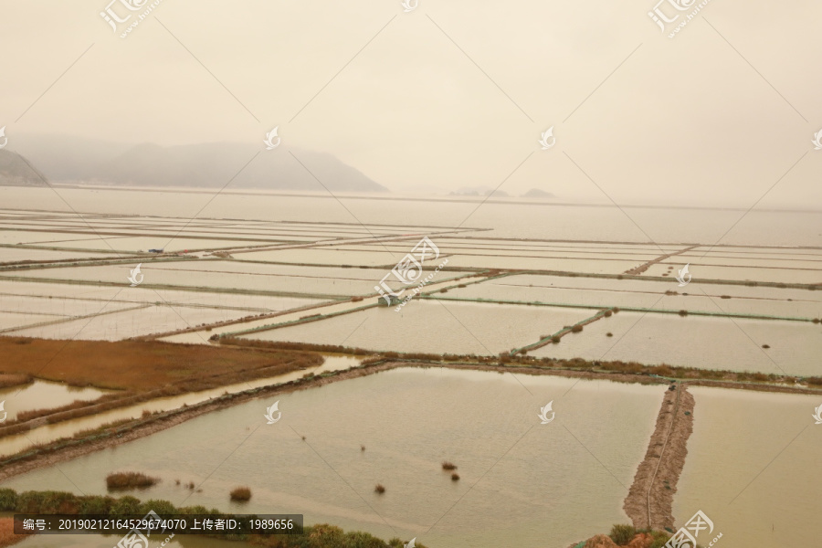 霞浦沙塘里