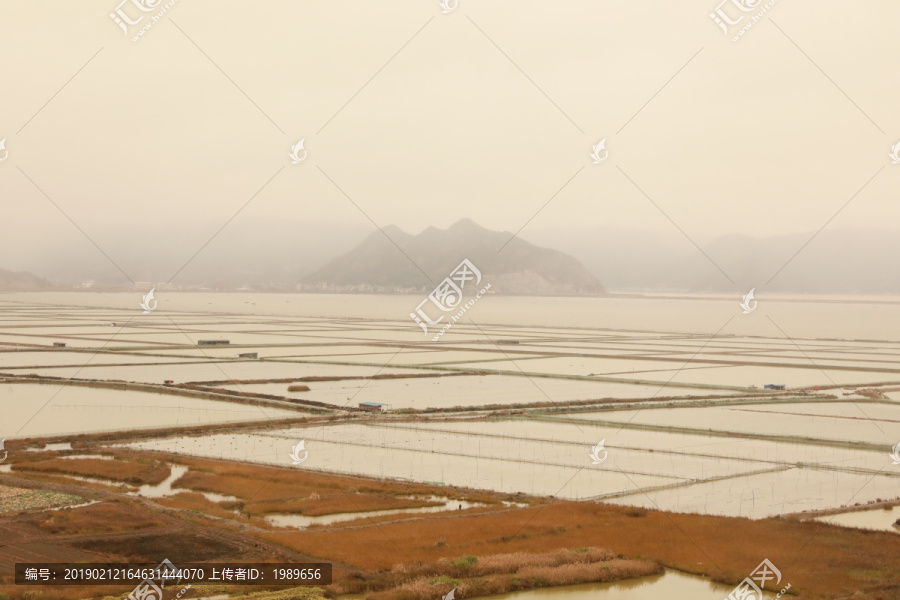 霞浦沙塘里